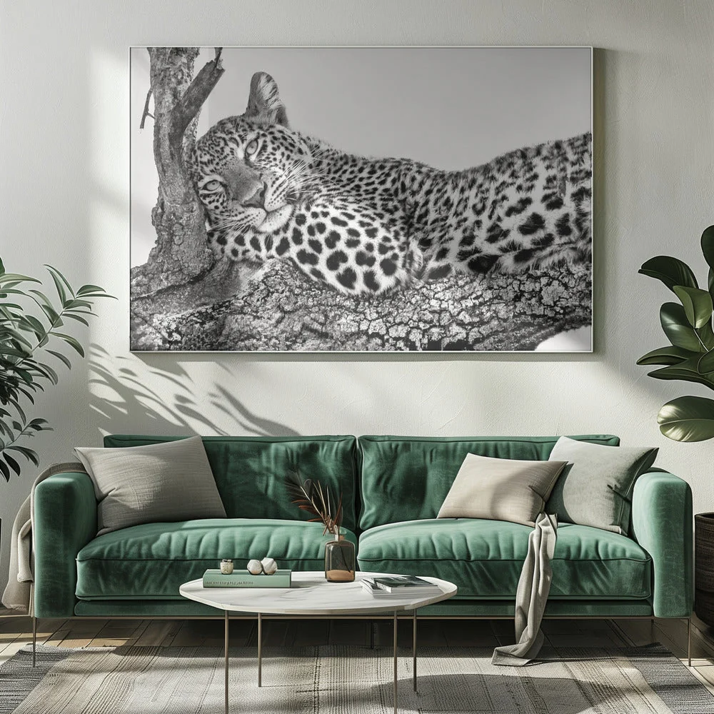 Time to rest Leopard - Image 7
