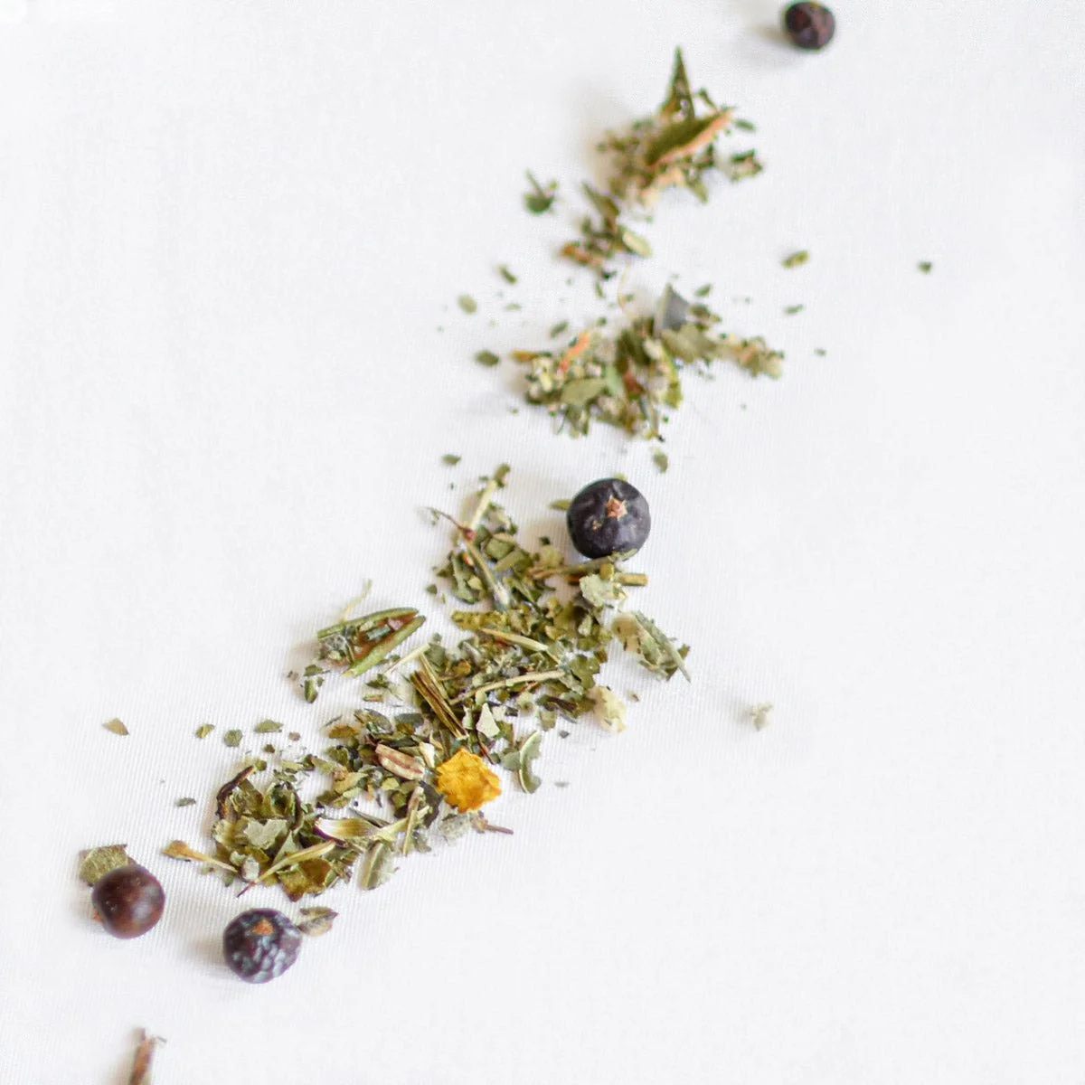 Tisane en vrac - Myrique & échinacée - Image 3