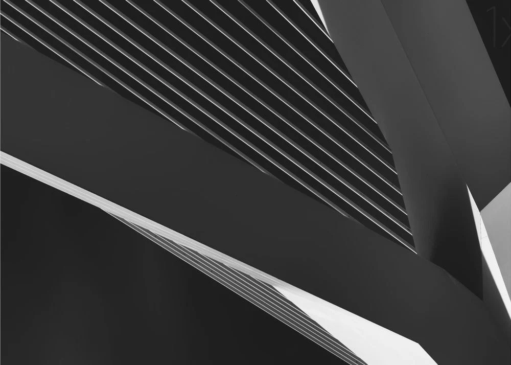 Wall art Abstraction of a swan - Image 2