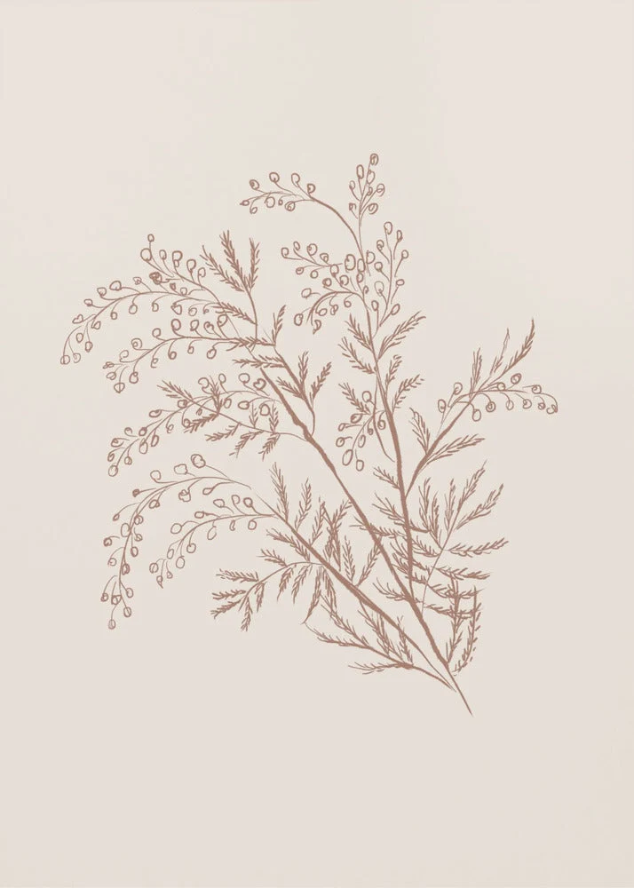 Wall art Acacia Botanical Branch - Image 2