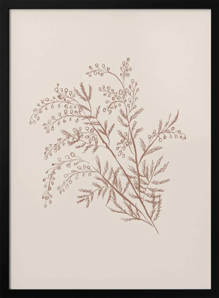 Wall art Acacia Botanical Branch - Image 3