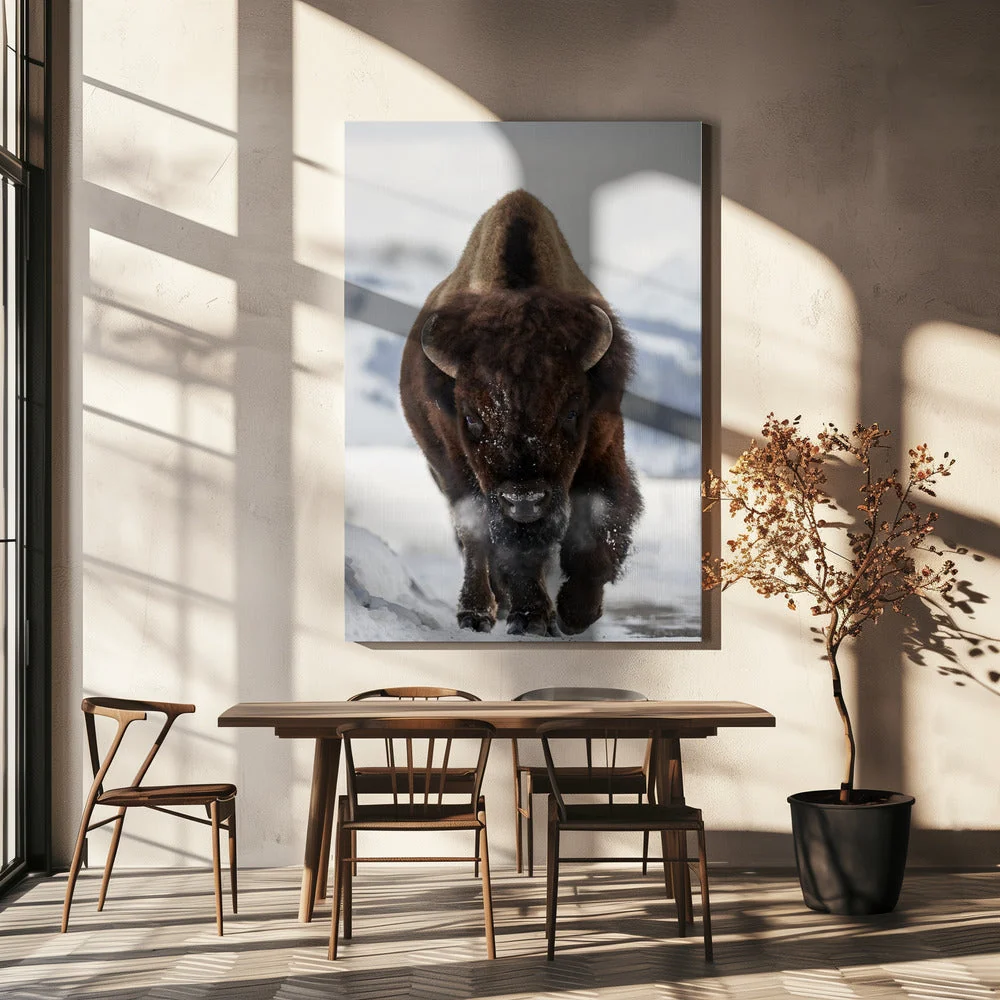 Wall Art Bison Incoming - Image 5