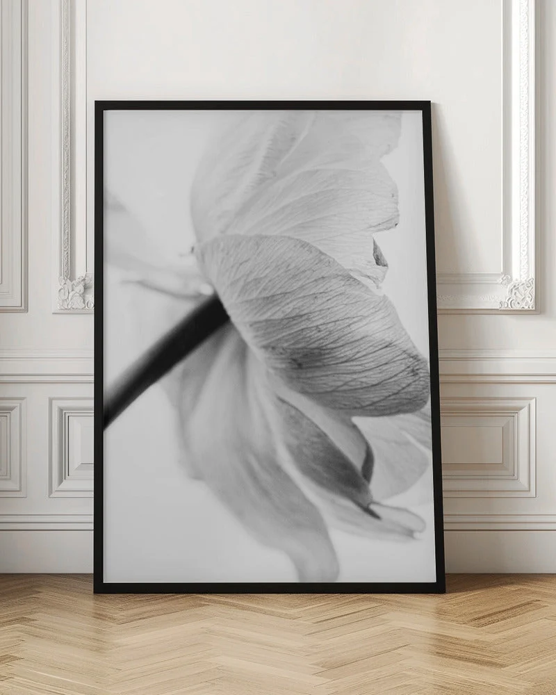 Wall art Blooming Flower Canvas Print - Image 4