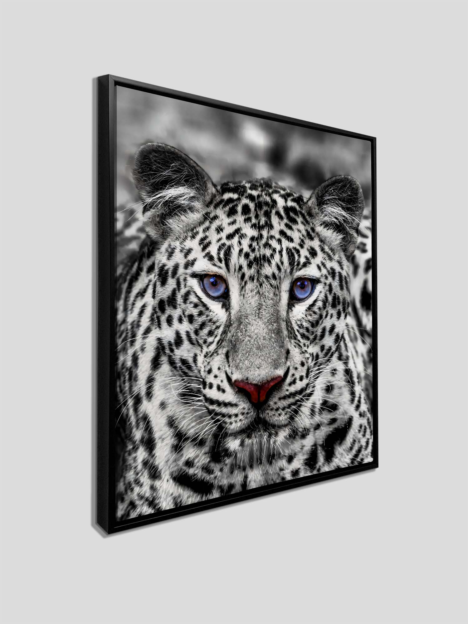 Wall Art-Blue Eyed White Tiger- Wildlife decor - Image 6