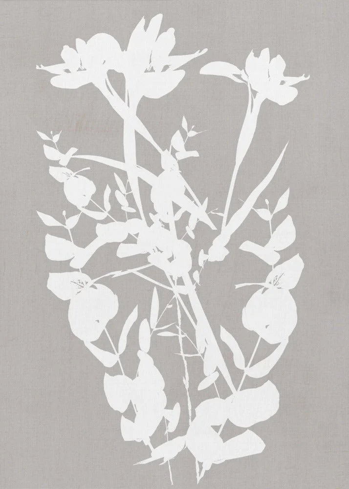 Wall art Botanical Illustration 1 - Image 2