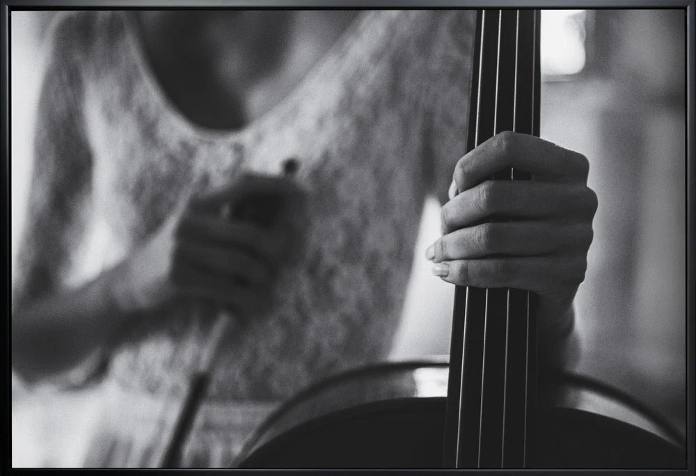 Wall art break for the cello - Image 3