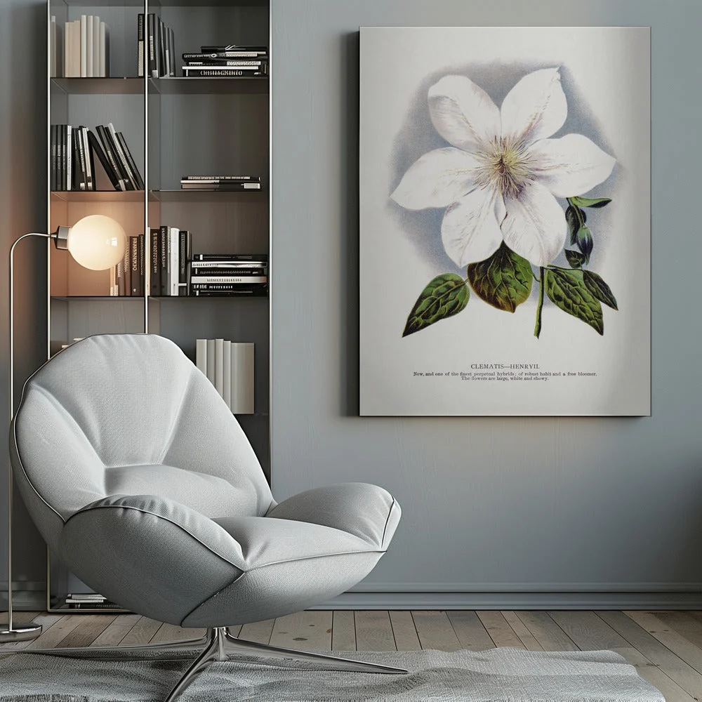 Wall Art Clematis Flower Lithograph - Image 10