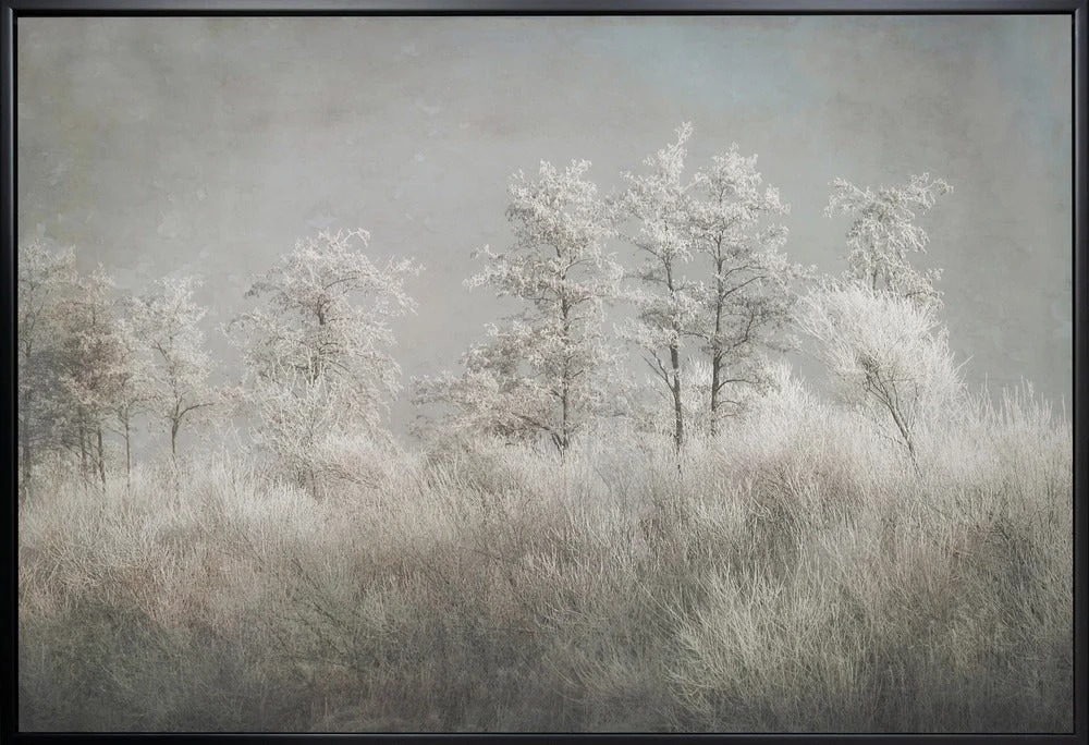 Wall art Cold morning - Image 3