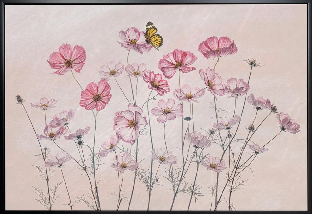 Wall Art Cosmos and Butterfly - Image 3