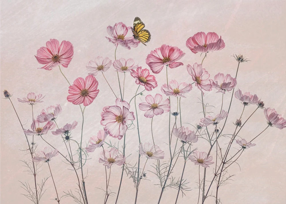 Wall Art Cosmos and Butterfly - Image 4