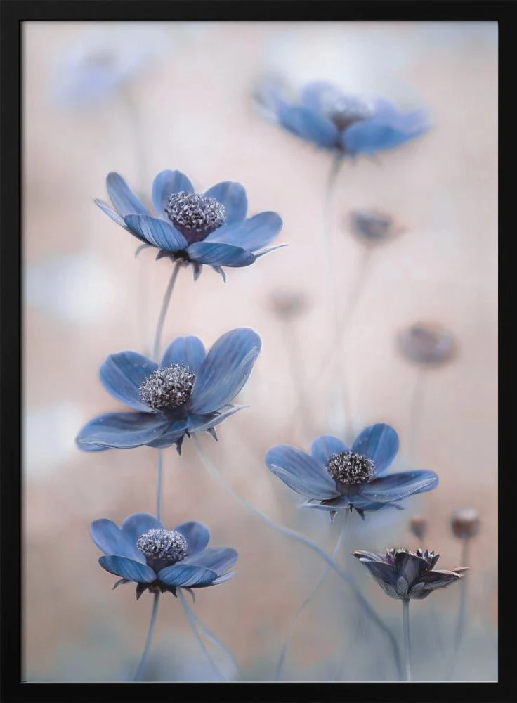 Wall Art Cosmos blue - Image 3