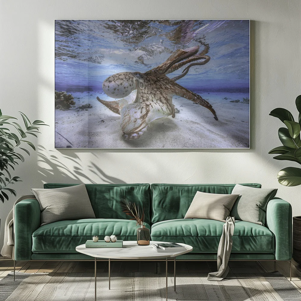 Wall Art Dancing Octopus - Image 9