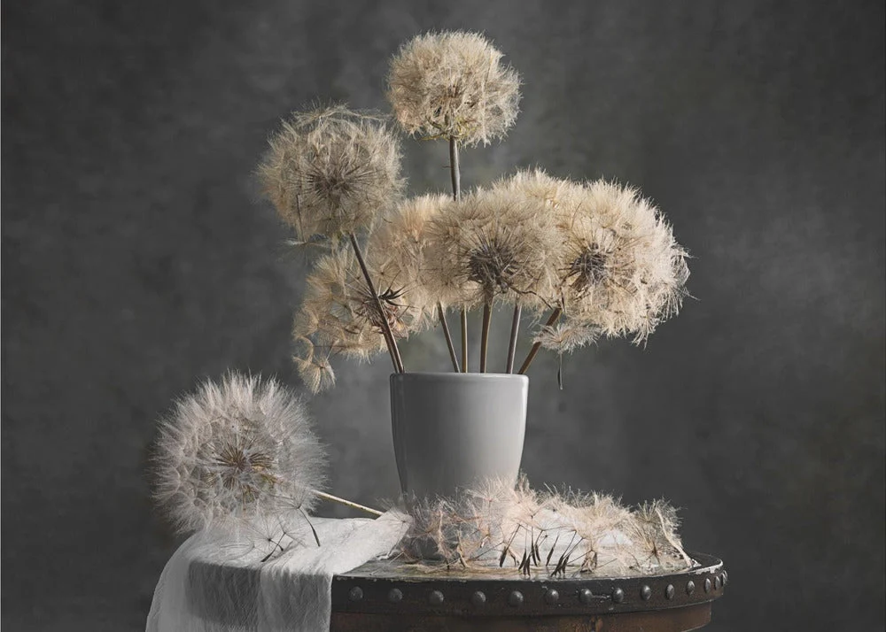 Wall Art Dandelion Seed Pod - Image 4