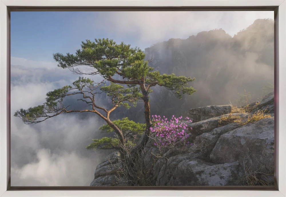 Wall art Dream dancer Canvas Print - Image 2