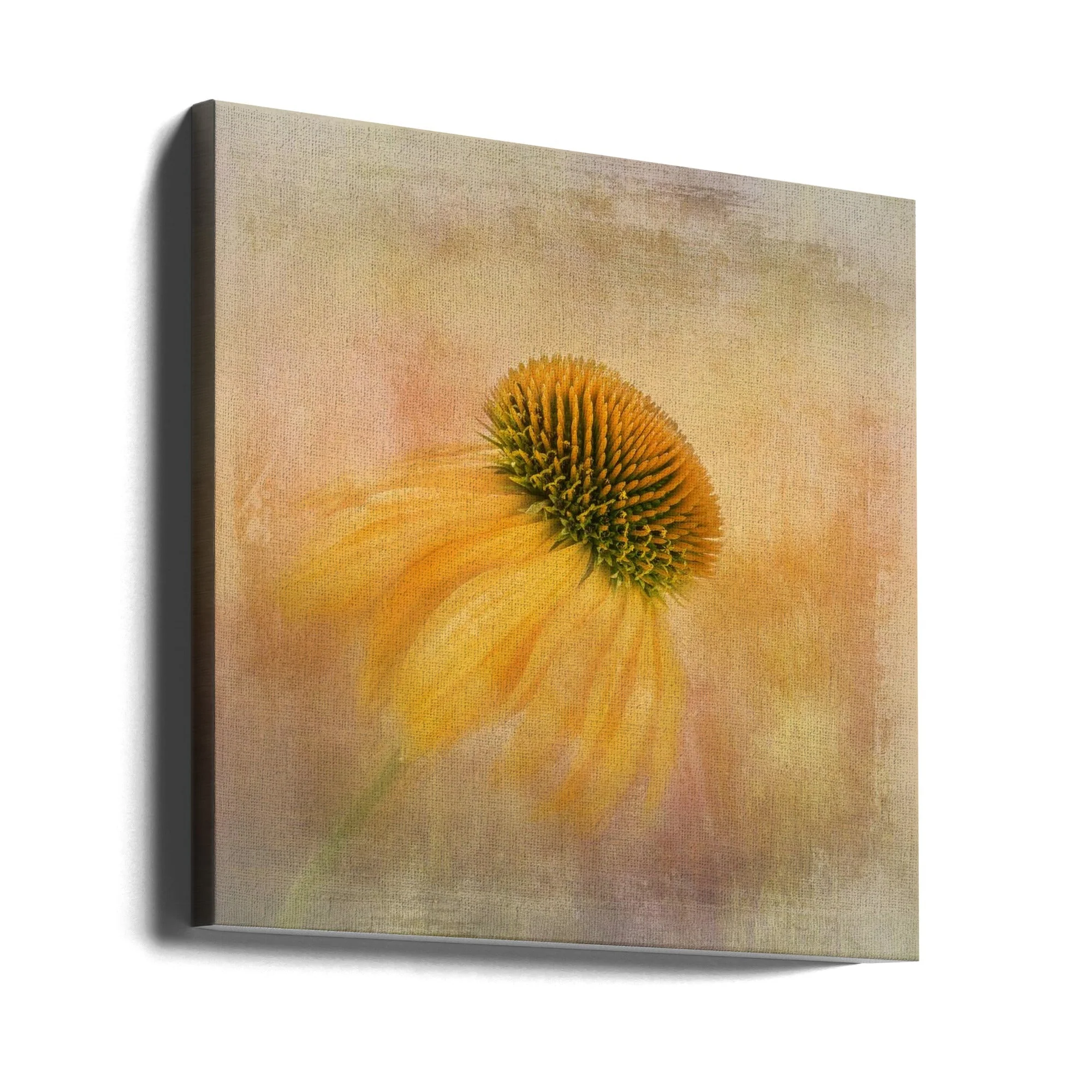 Wall Art Echinacea in Yellow - Image 10
