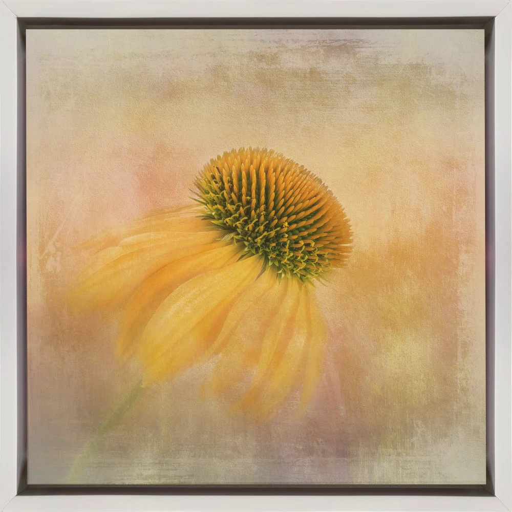 Wall Art Echinacea in Yellow - Image 2