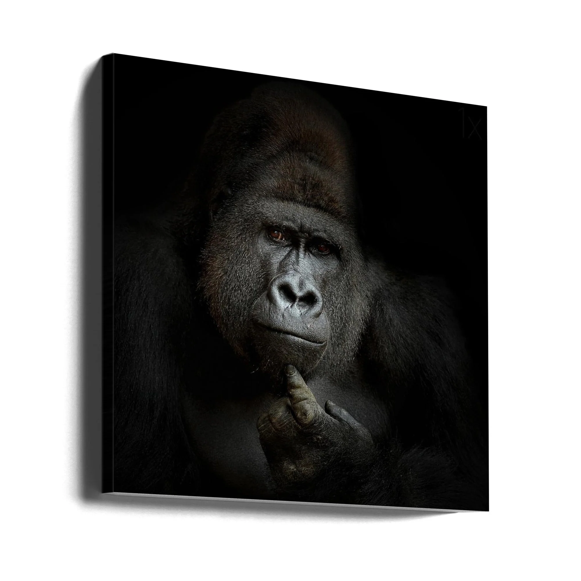 Wall Art ego cogito, ergo sum - Image 10