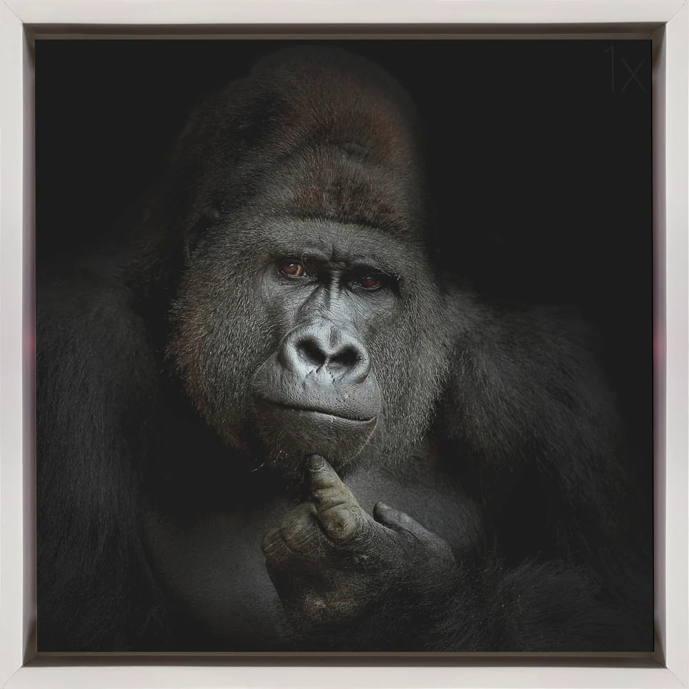 Wall Art ego cogito, ergo sum - Image 2