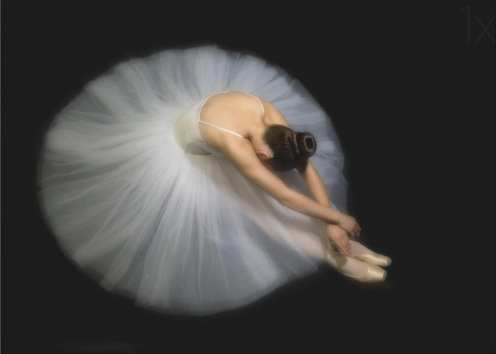 Wall art Elegance. Dance - Image 4