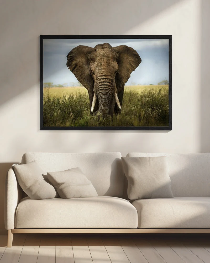 Wall art Encounters in Serengeti. Elephant - Image 8