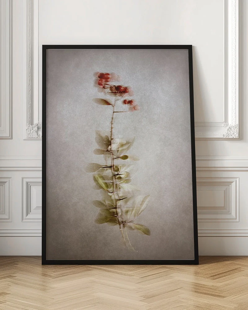 Wall Art Exposed - Image 4