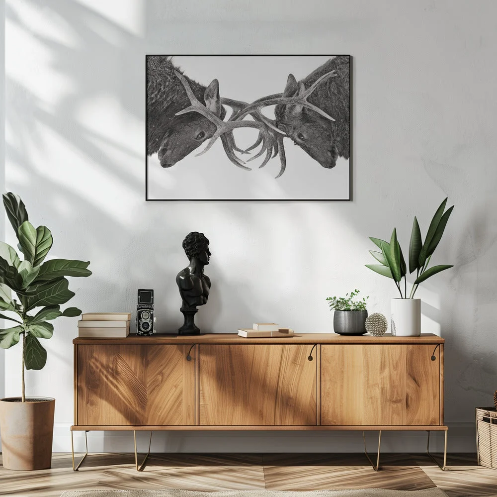 Wall art Eye to Eye - Elk fight - Image 6