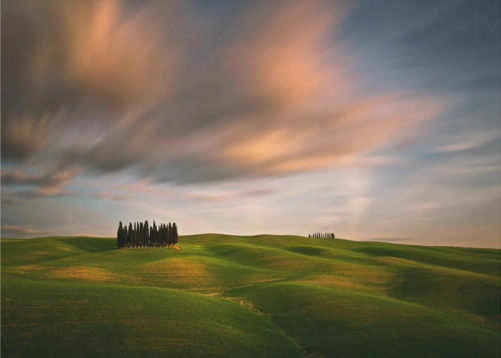 Wall art Fields... - Image 4
