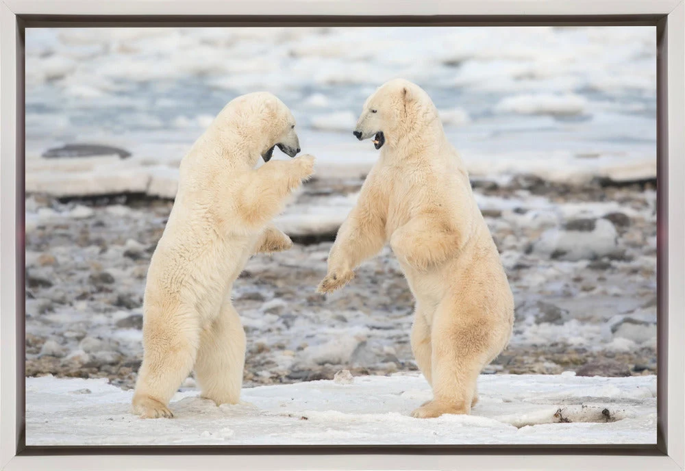 Wall art Fight ! - Image 2