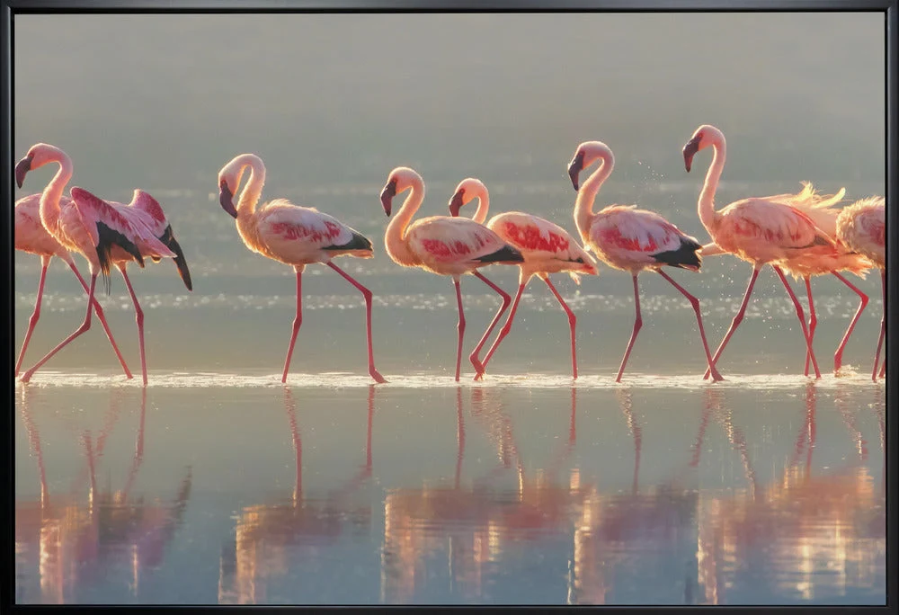 Wall art Flamingo Landscape - Image 3