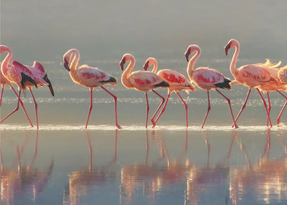 Wall art Flamingo Landscape - Image 4