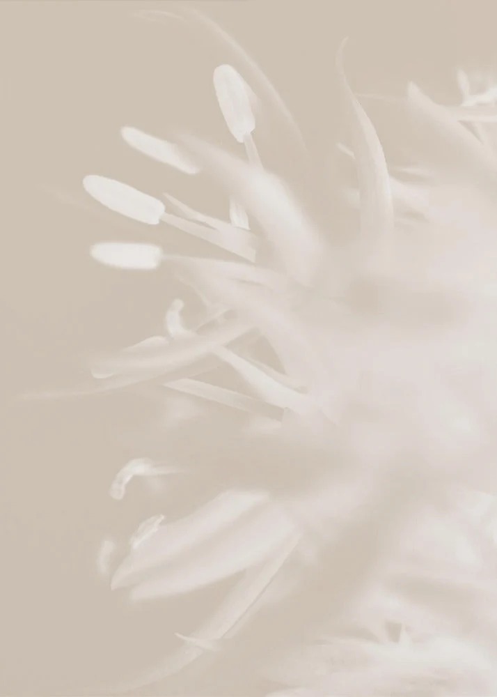 Wall art Flower Beige_1 - Image 2