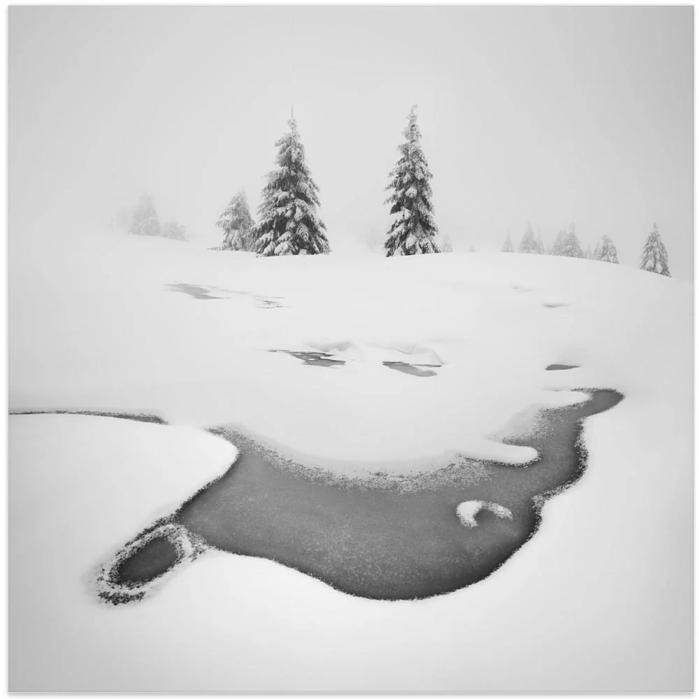 Wall art Frozen swamps - Image 2