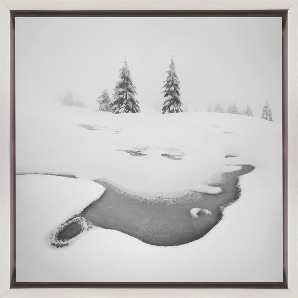 Wall art Frozen swamps - Image 5
