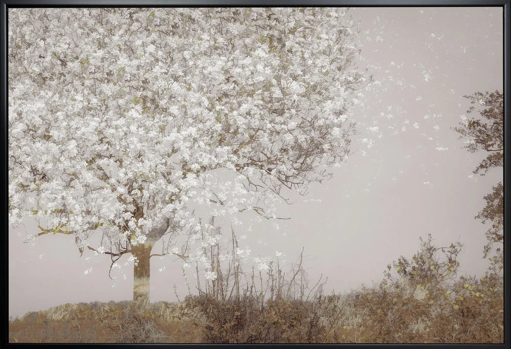 Wall art Fruit tree - Image 3