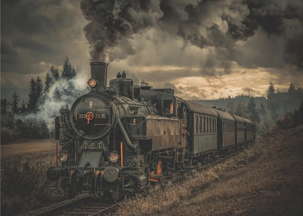 Wall Art Gold digger train - Image 4