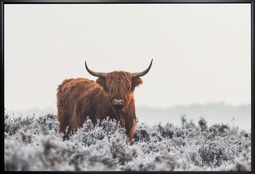 Wall Art Highlander - Image 3