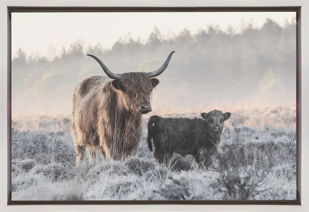 Wall art Highlander and Calf - Image 2