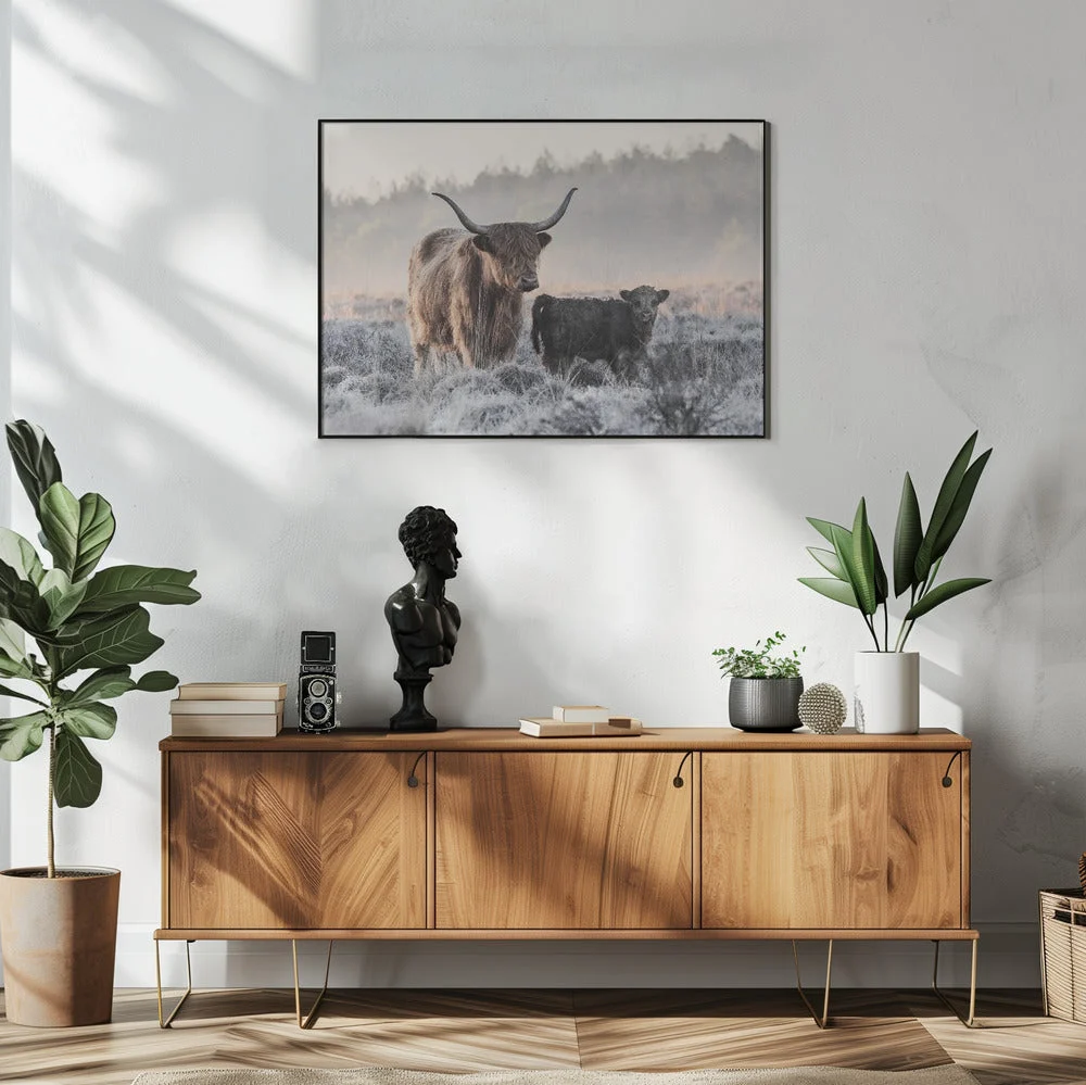Wall art Highlander and Calf - Image 6