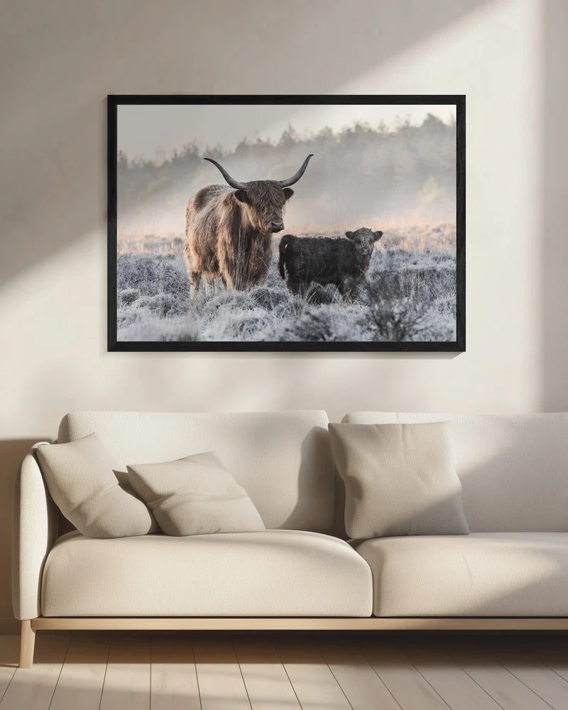 Wall art Highlander and Calf - Image 8