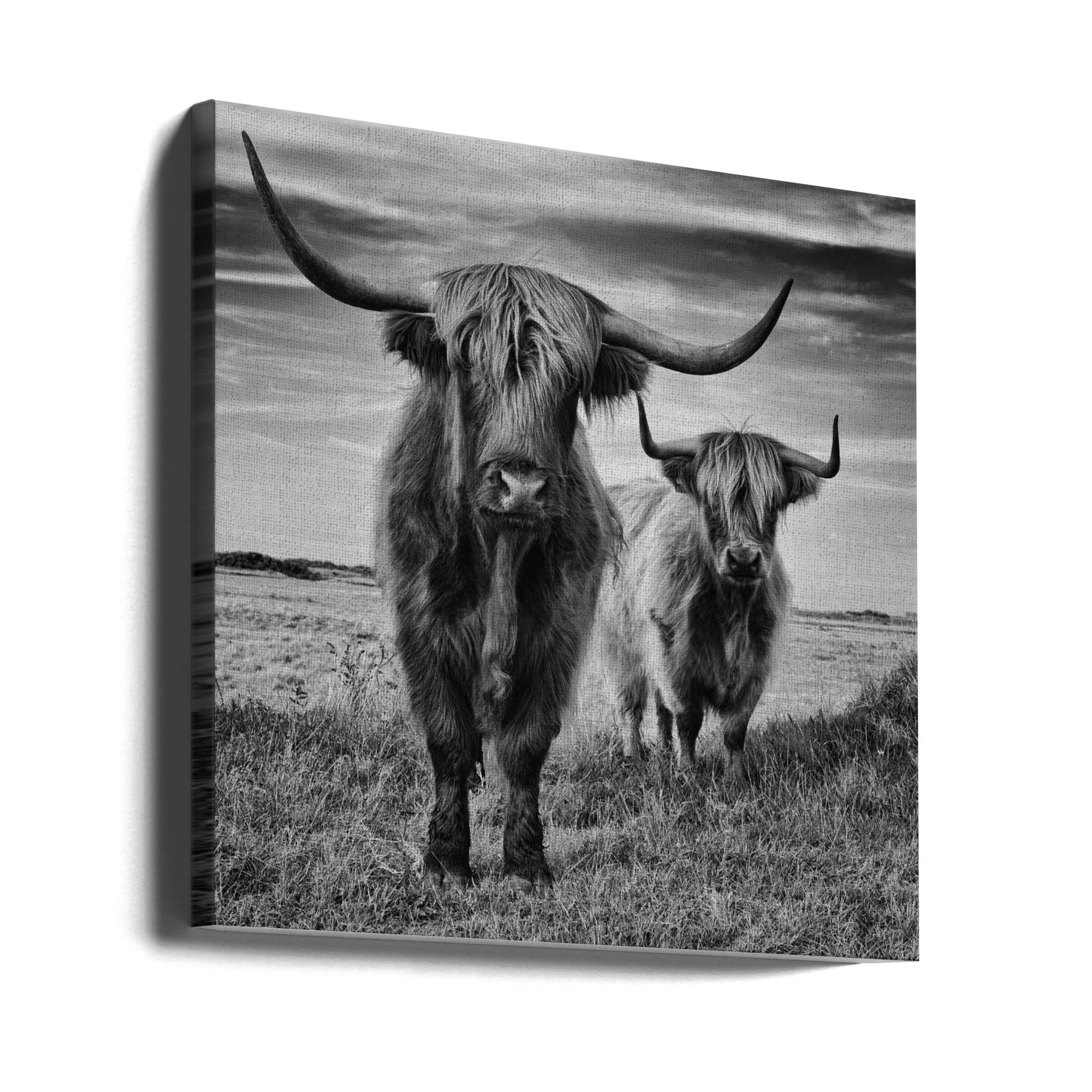 Wall Art Highlands - Image 10