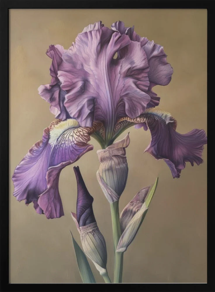 Wall art Iris Fl 101 - Image 3