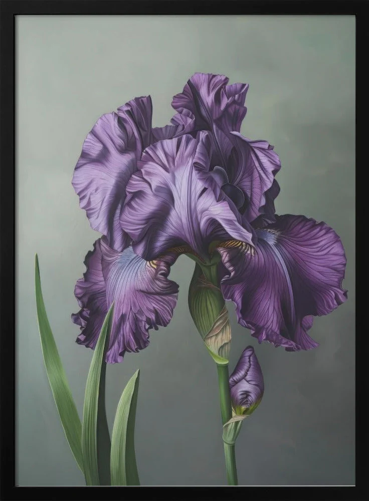 Wall art Iris Fl 18 - Image 3