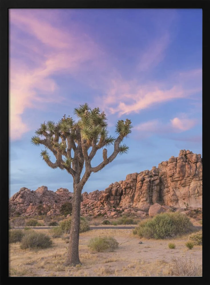 Wall art Joshua Tree Evening Atmosphere - Image 3