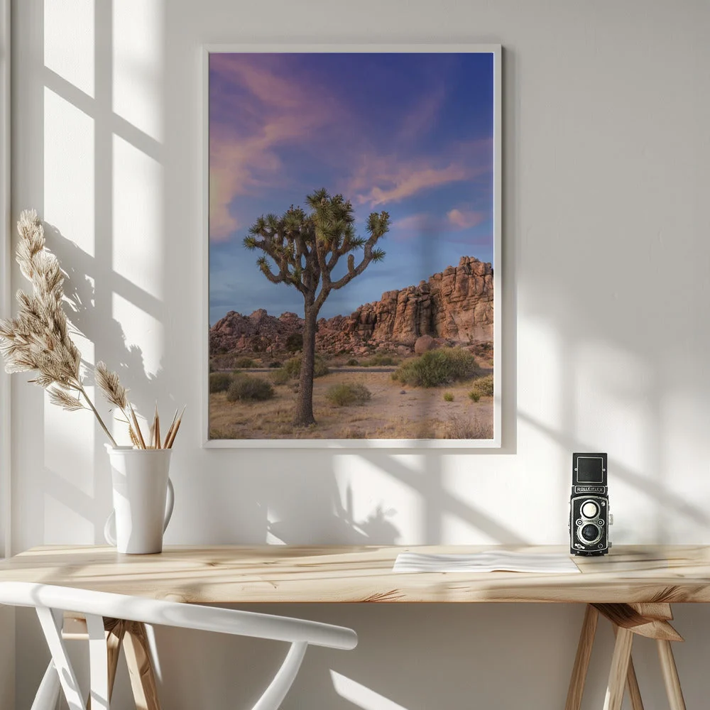 Wall art Joshua Tree Evening Atmosphere - Image 6