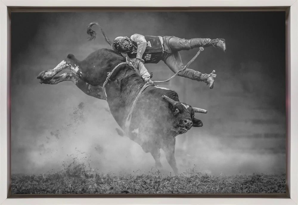 Wall Art Keeping Balance