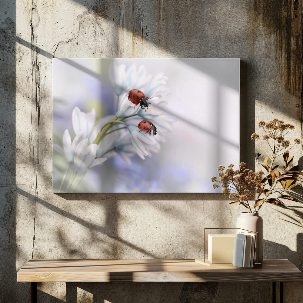Wall art Ladybirds - Image 5