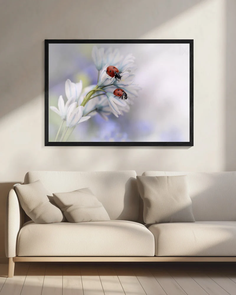 Wall art Ladybirds - Image 8