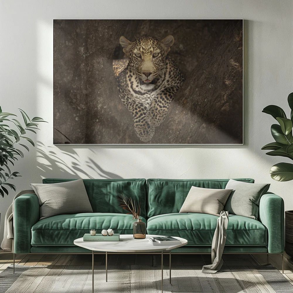 Wall art Leopard Resting on a Tree at Masai Mara - Image 7