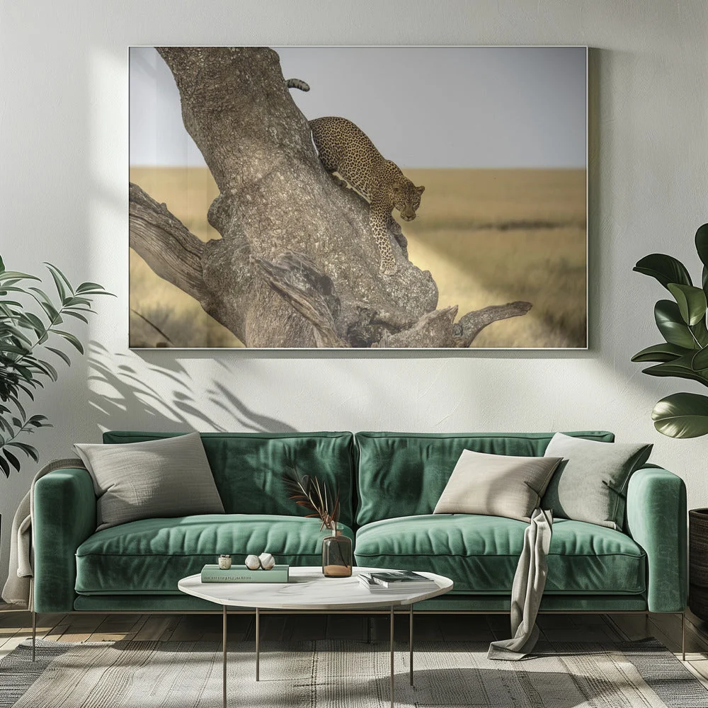 Wall art Leopard - Serengheti, Tanzania - Image 7
