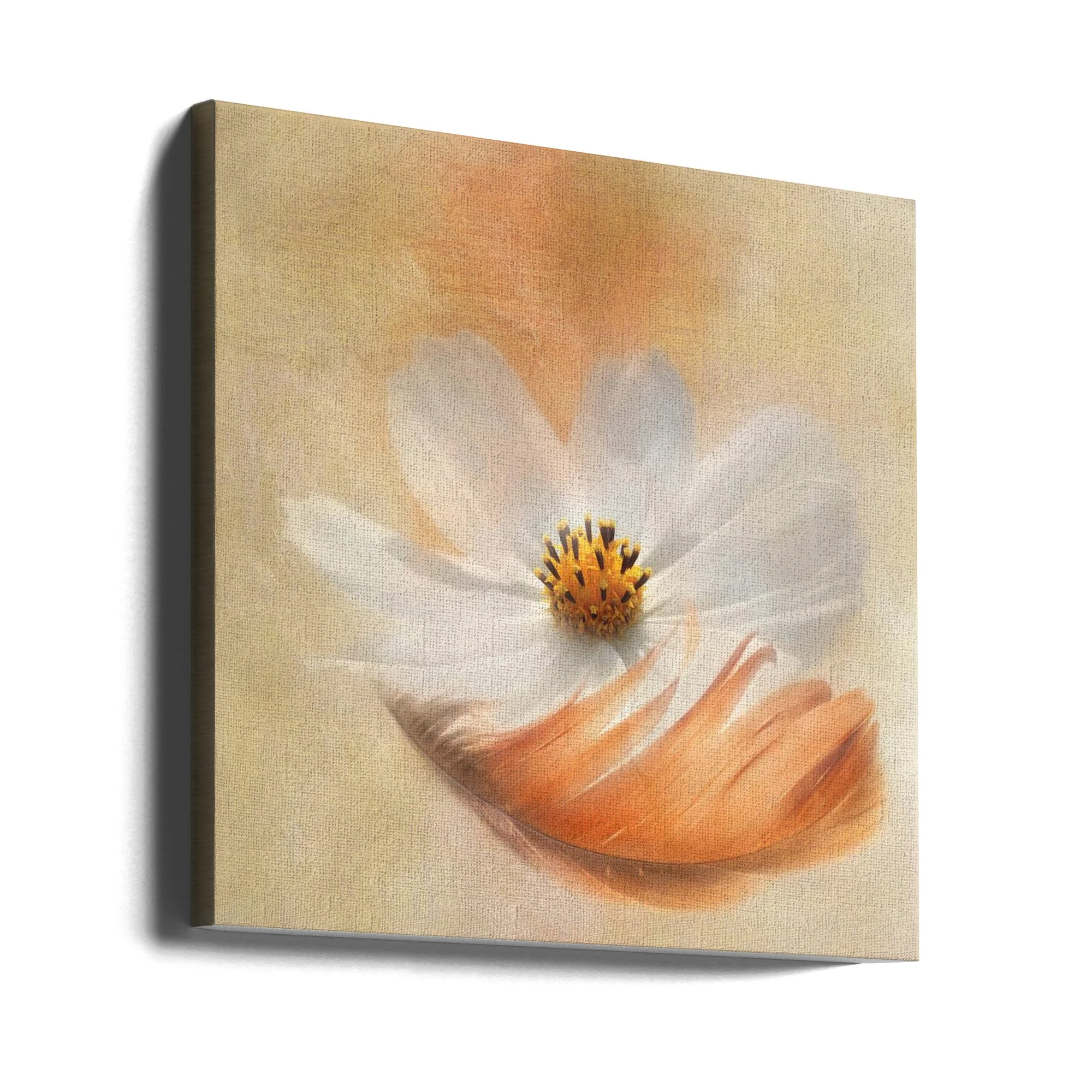 Wall Art Light as a Feather - Image 10